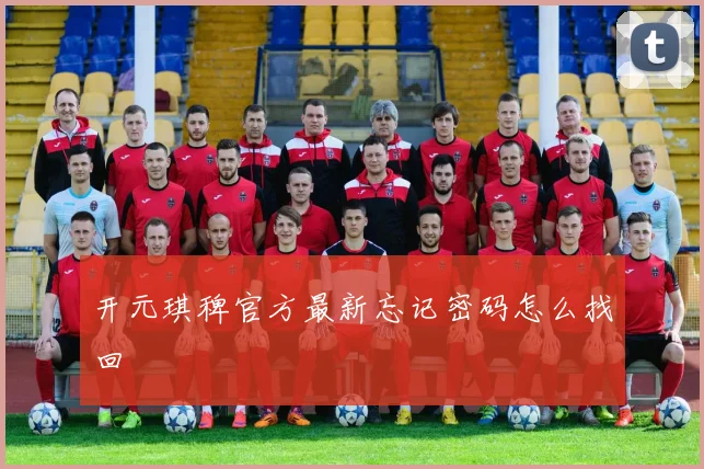 开元琪稗官方最新忘记密码怎么找回